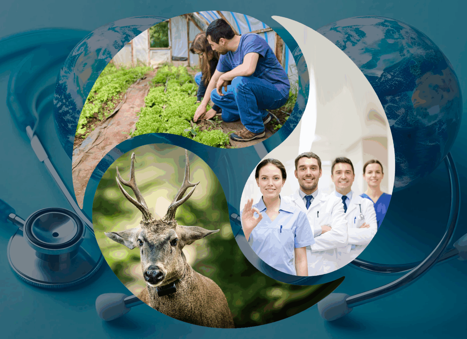 One Health para Territorios Remotos y Cambio Global
